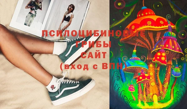 шишки Баксан
