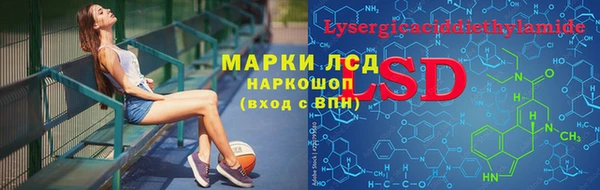 шишки Баксан