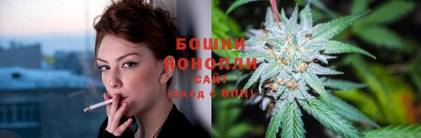 шишки Баксан