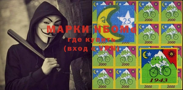 шишки Баксан